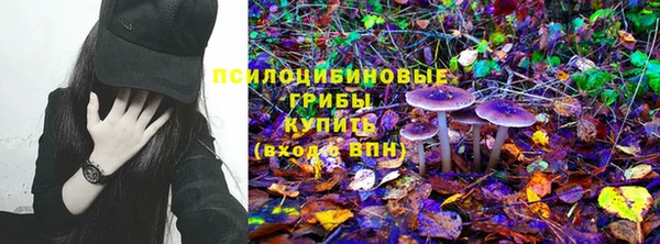 МДМА Бородино