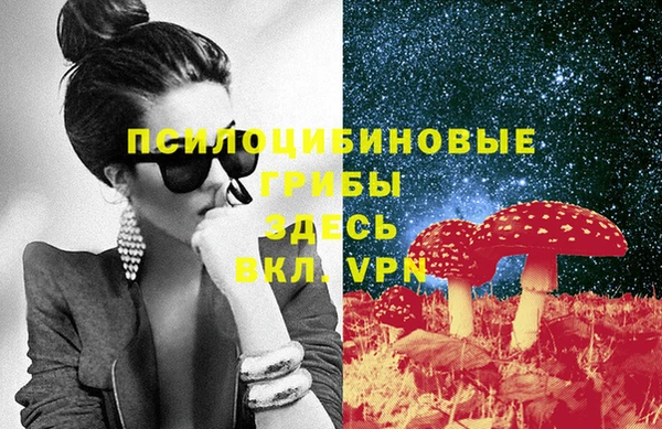 МДМА Бородино