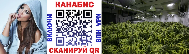 Канабис Bruce Banner Вилючинск
